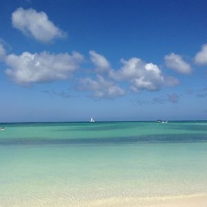 Meet your Posher, Kpie121079